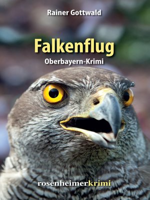 cover image of Falkenflug